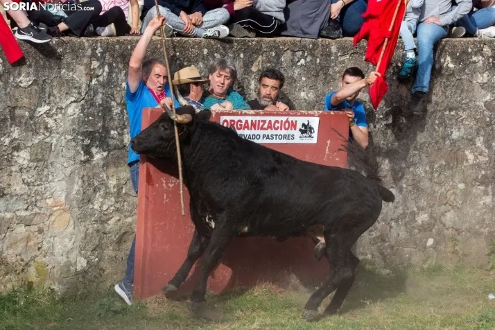 'Lavalengüillas' 2024