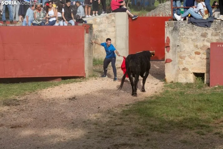'Lavalengüillas' 2024