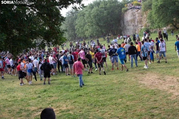 'Lavalengüillas' 2024