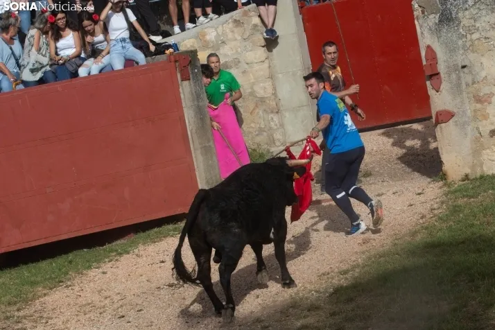 'Lavalengüillas' 2024