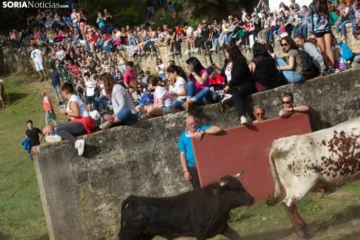 'Lavalengüillas' 2024
