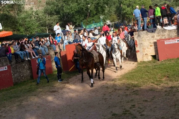 'Lavalengüillas' 2024