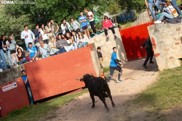 'Lavalengüillas' 2024