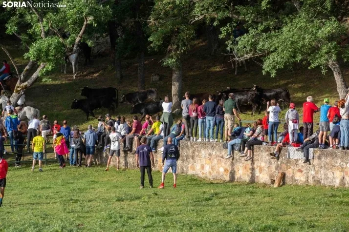 'Lavalengüillas' 2024