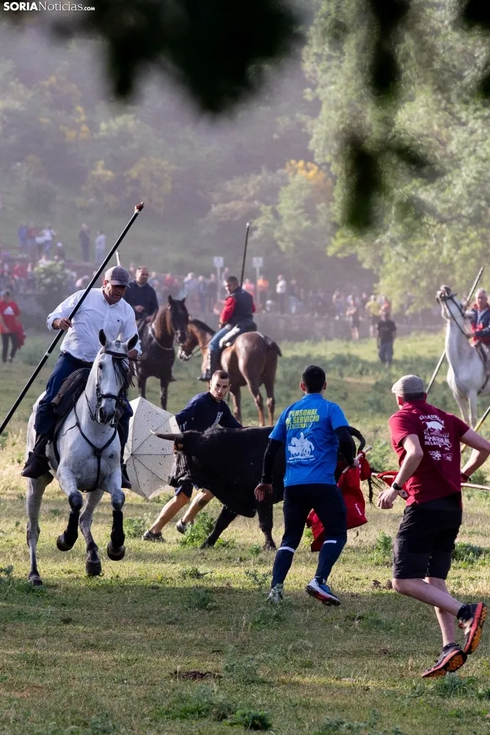 'Lavalengüillas' 2024
