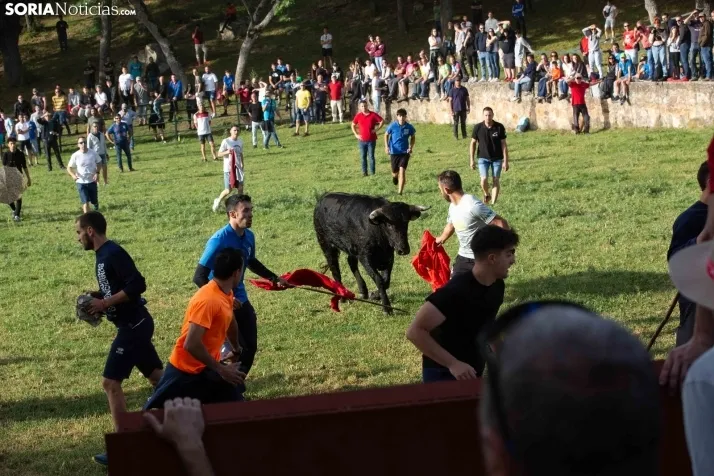 'Lavalengüillas' 2024