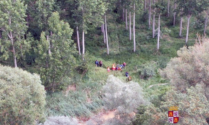 Evacuado en helicóptero tras caer de un árbol en Burgos