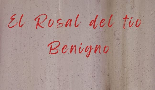 Tatiana Ramos ofrecerá Tu rosa Sanjuanera con la obra del Rosal del Tío Benigno en beneficio de Aspace