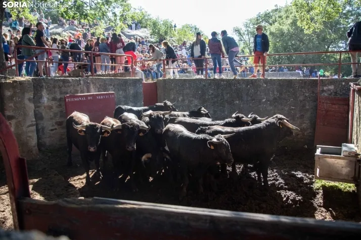 Chiringuitos 'La Compra' 2024