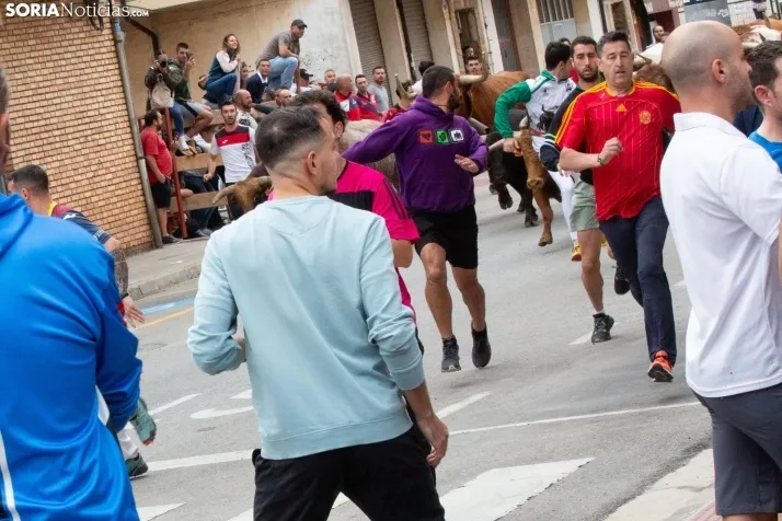 Encierro de Soria 2024