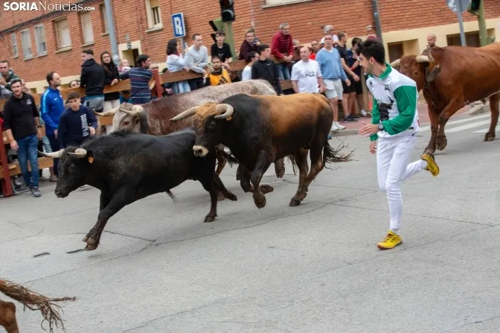 Encierro de Soria 2024