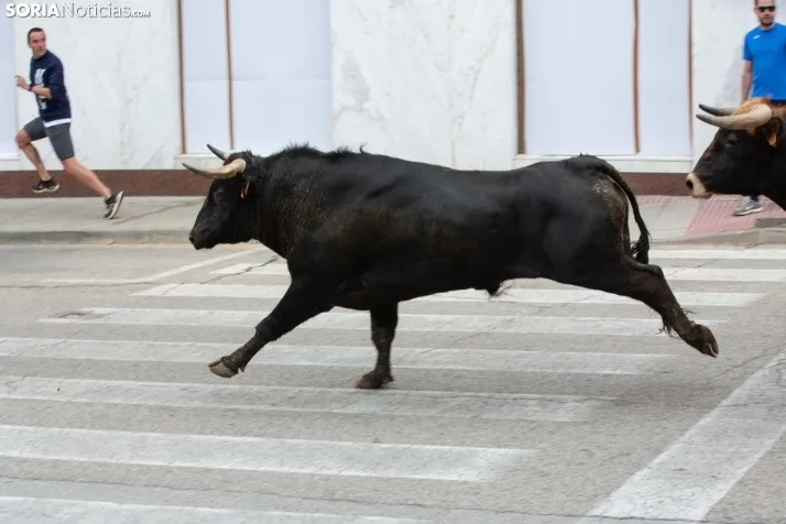 Encierro de Soria 2024