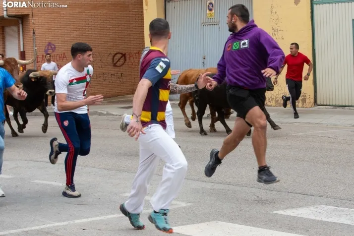 Encierro de Soria 2024