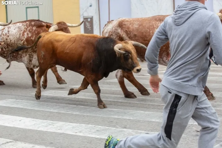 Encierro de Soria 2024