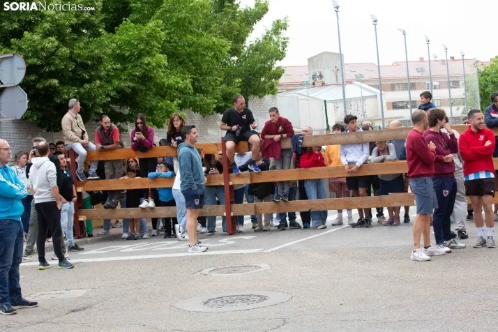 Encierro de Soria 2024