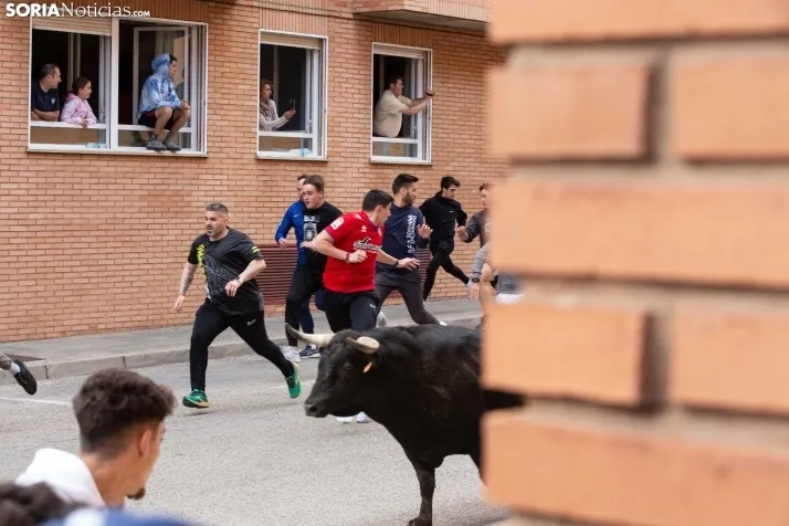 Encierro de Soria 2024