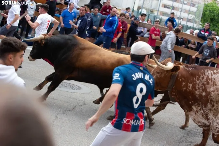 Encierro de Soria 2024
