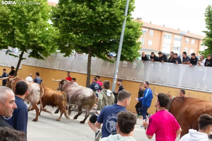 Encierro de Soria 2024