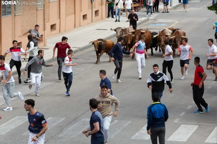 Encierro de Soria 2024