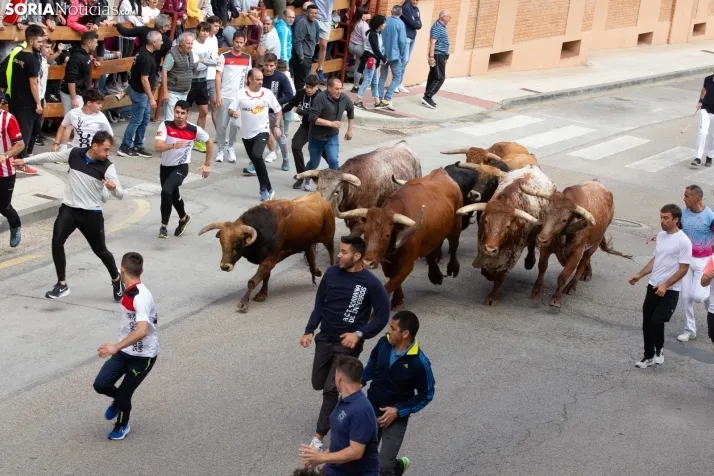 Encierro de Soria 2024