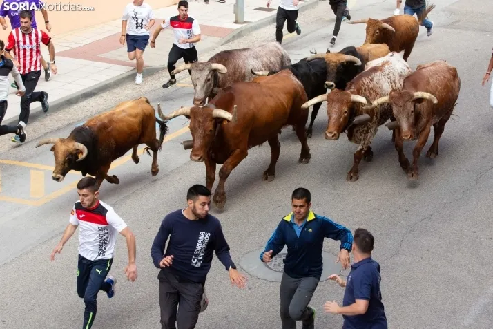 Encierro de Soria 2024