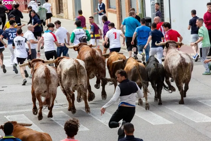 Encierro de Soria 2024