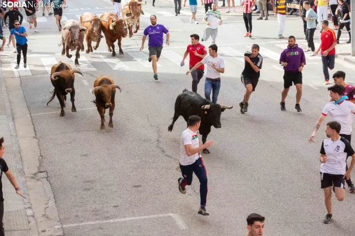 Encierro de Soria 2024