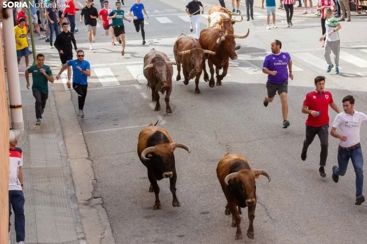 Encierro de Soria 2024