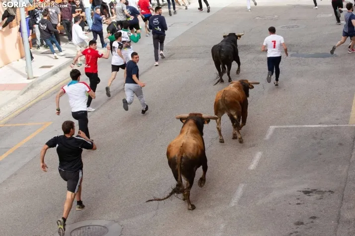 Encierro de Soria 2024