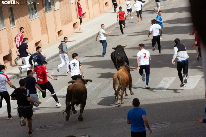 Encierro de Soria 2024