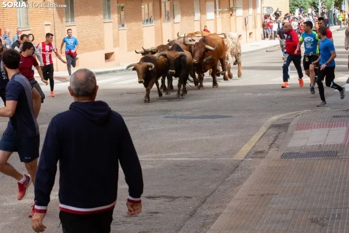 Encierro de Soria 2024