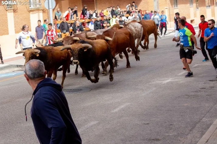 Encierro de Soria 2024