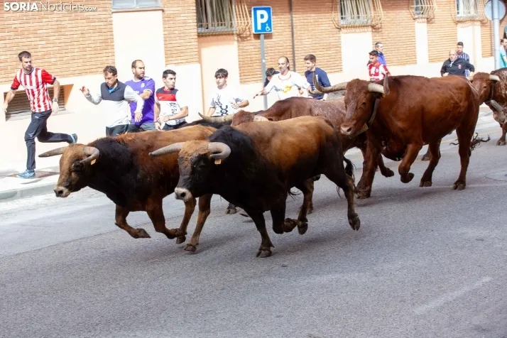 Encierro de Soria 2024