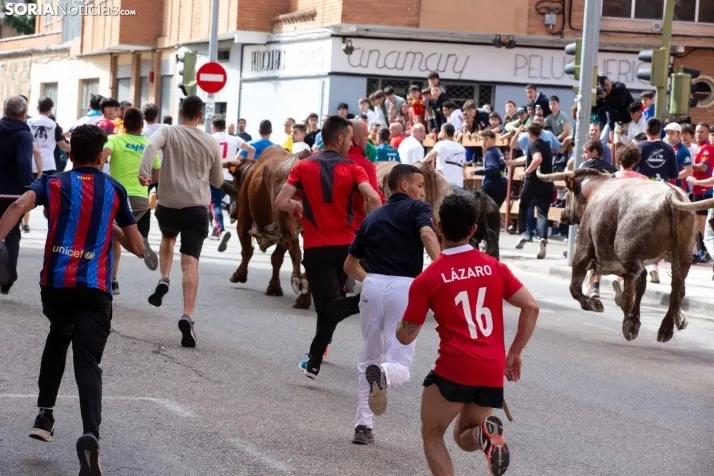 Encierro de Soria 2024