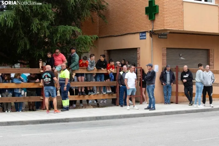 Encierro de Soria 2024