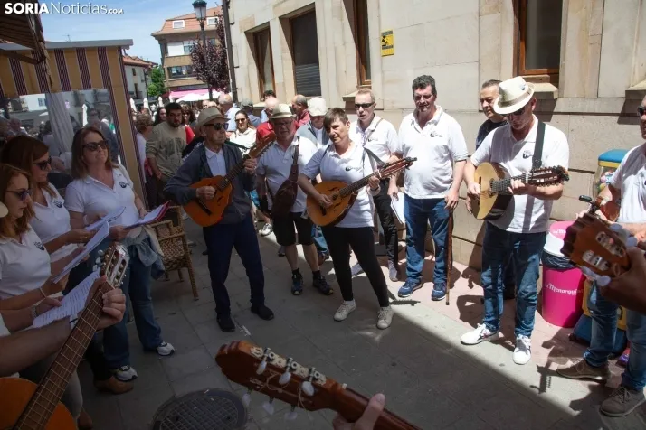 Fiestas en Covaleda