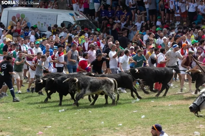 La Saca 2024