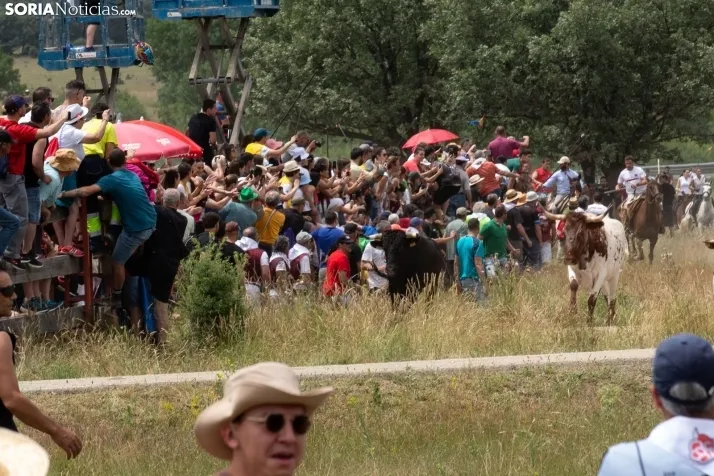 La Saca 2024