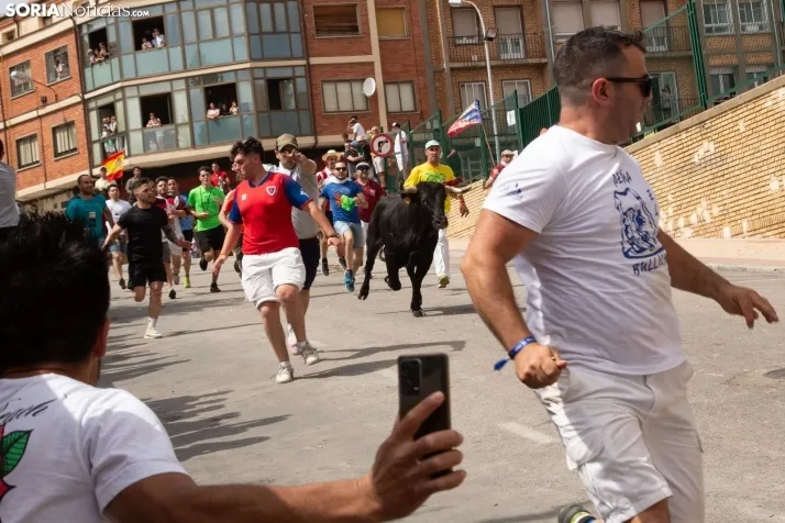 La Saca 2024