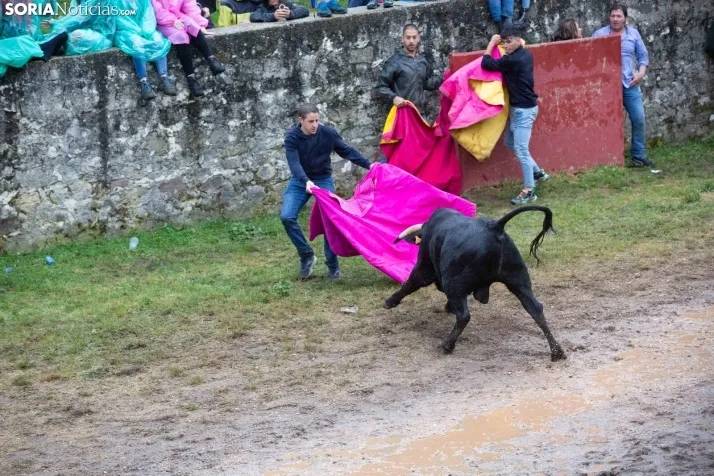 Lluvioso Lavalenguas 2024