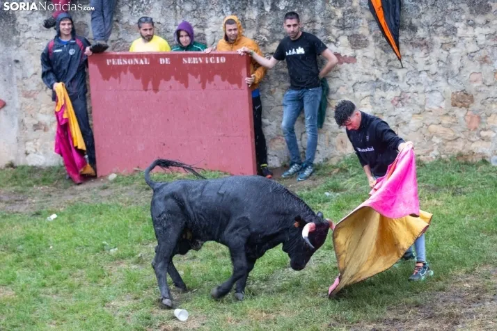 Lluvioso Lavalenguas 2024
