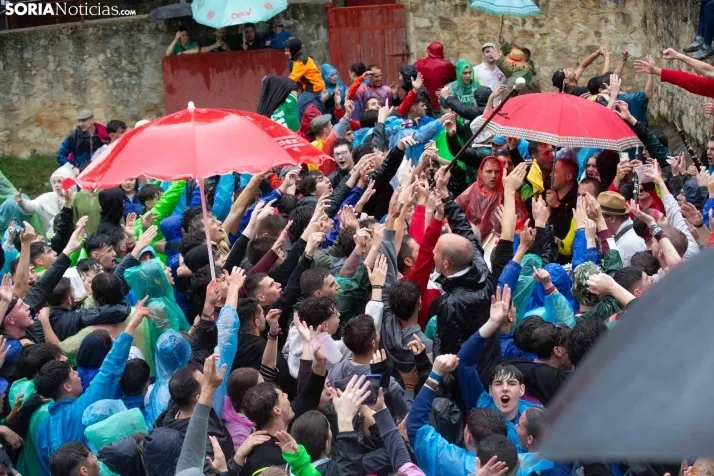 Lluvioso Lavalenguas 2024