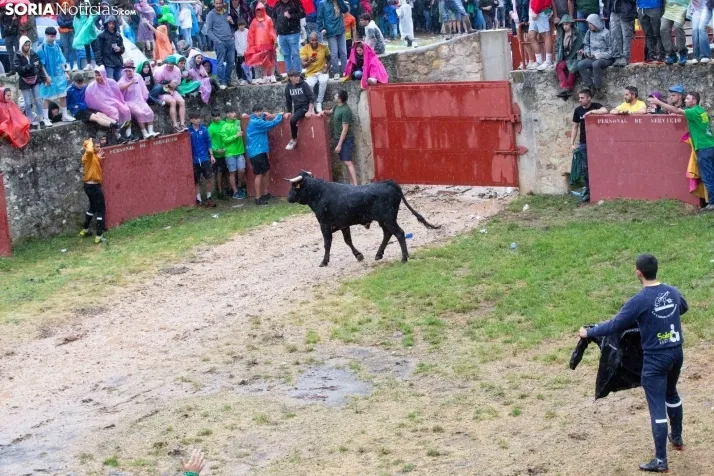 Lluvioso Lavalenguas 2024