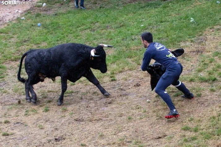 Lluvioso Lavalenguas 2024