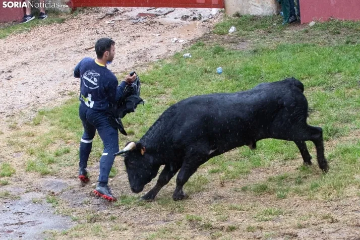 Lluvioso Lavalenguas 2024