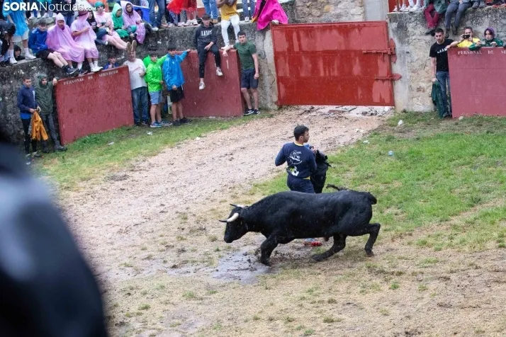 Lluvioso Lavalenguas 2024