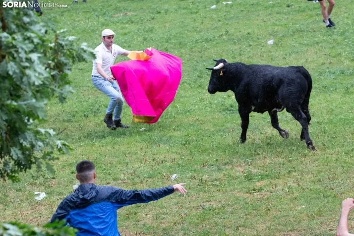 Lluvioso Lavalenguas 2024