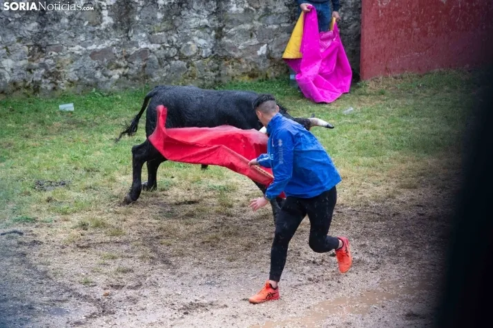 Lluvioso Lavalenguas 2024