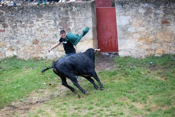 Lluvioso Lavalenguas 2024