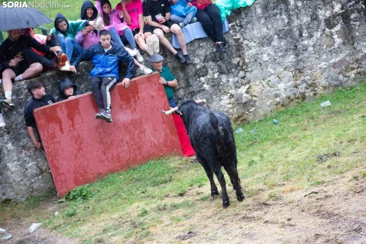 Lluvioso Lavalenguas 2024
